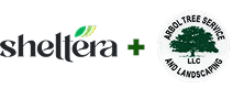Sheltera and Arbol Tree Service LLC and Landscaping